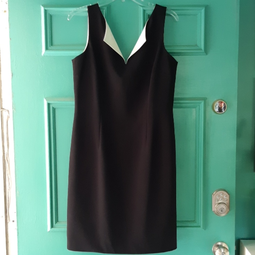 🆕 Ann Taylor Sleeveless Dress